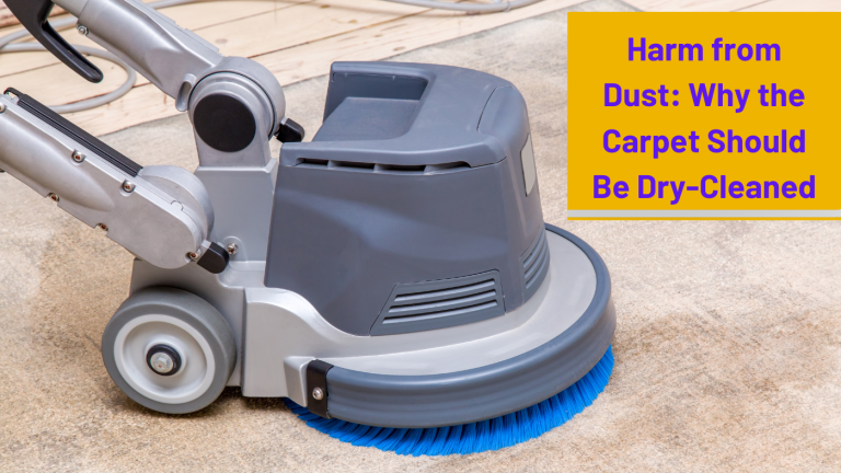 Harm from Dust Why the Carpet Should Be Dry-Cleaned