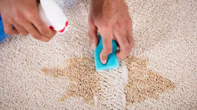 Carpet Stain Removal Services